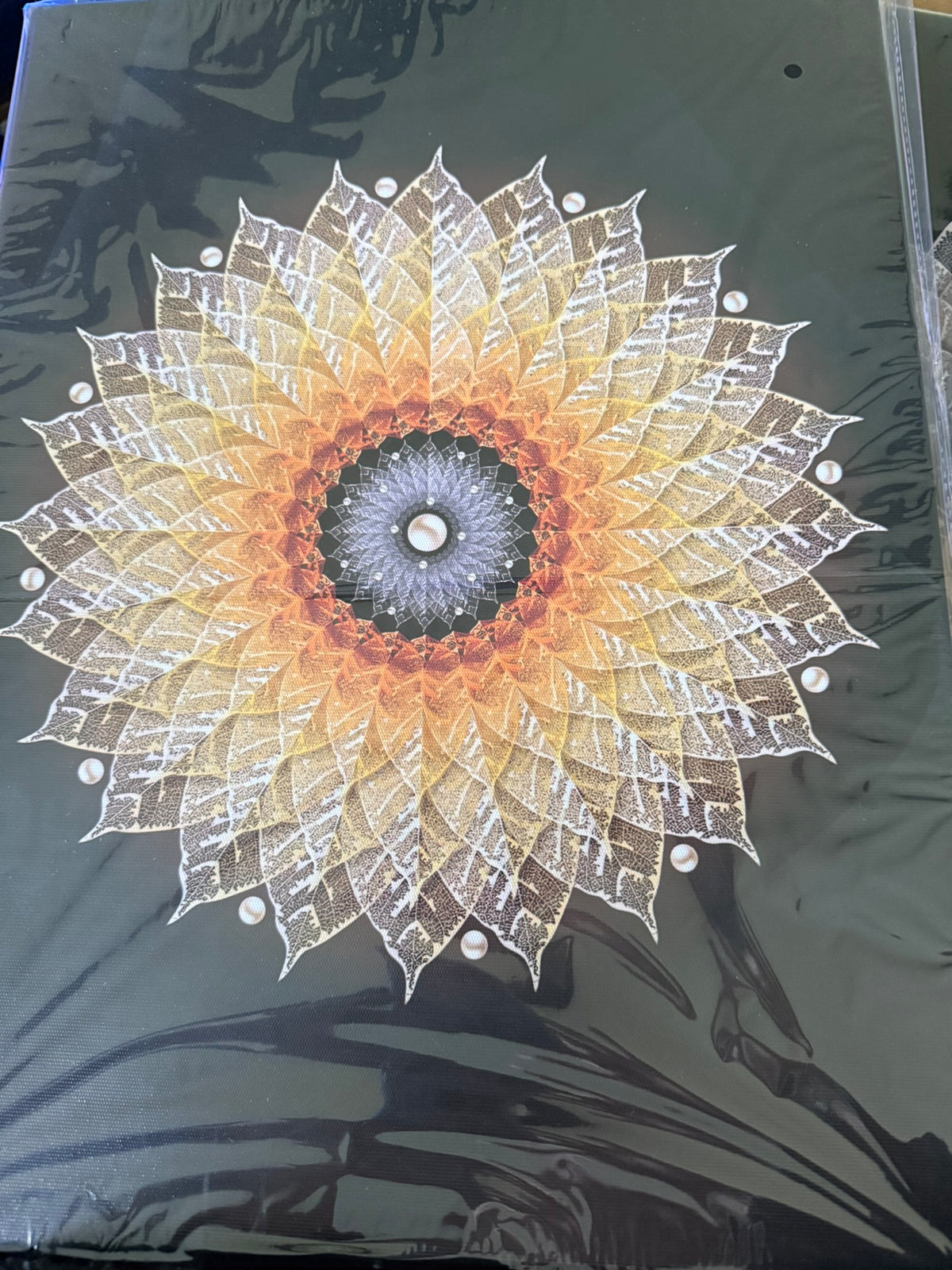 Mandala Canvas Art-New