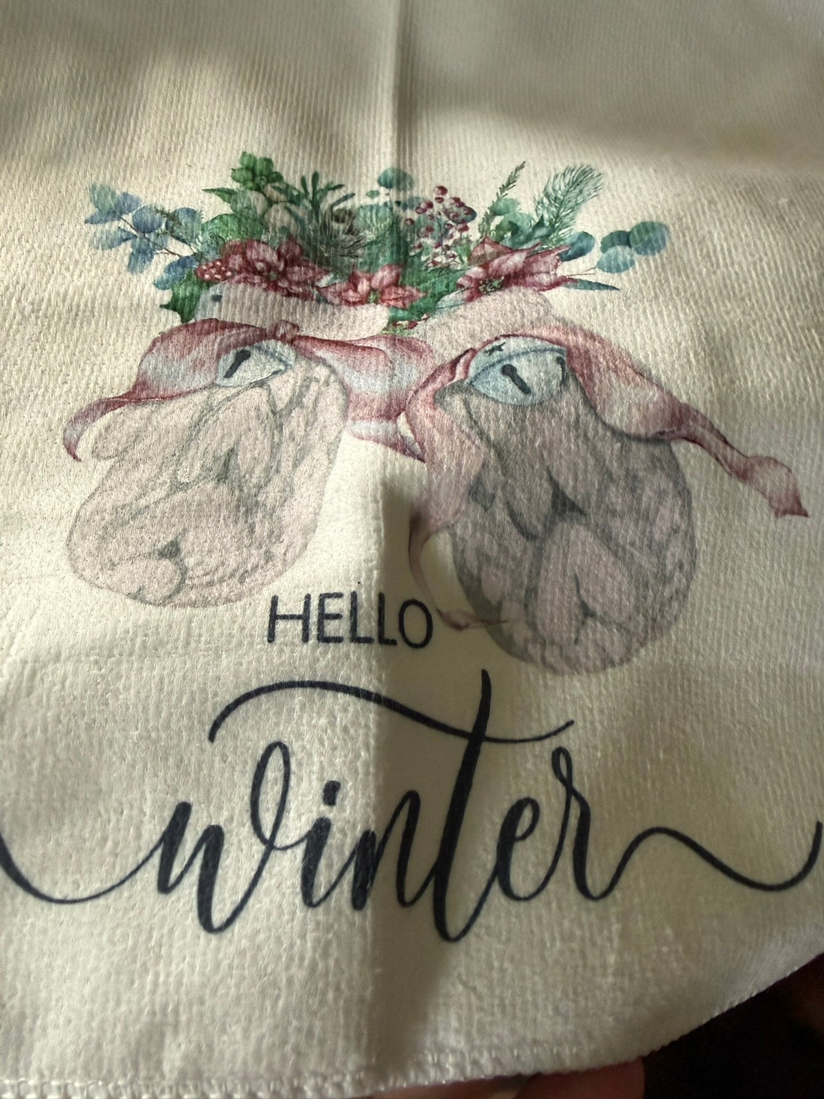 Hello Winter on white background