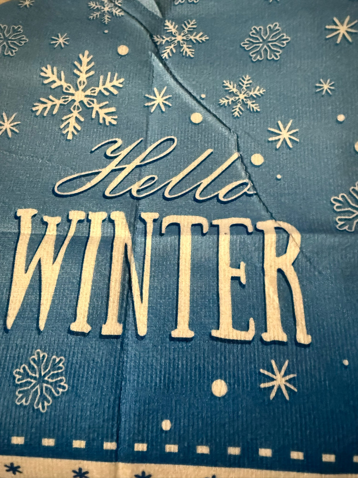 Hello Winter in Blue & White