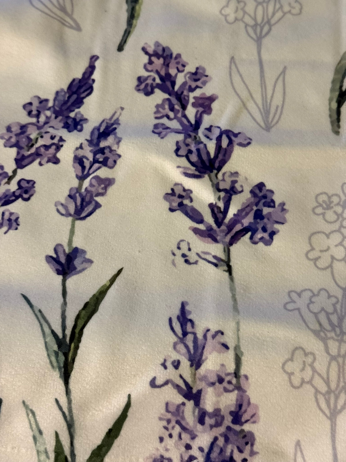Lavender Dreams