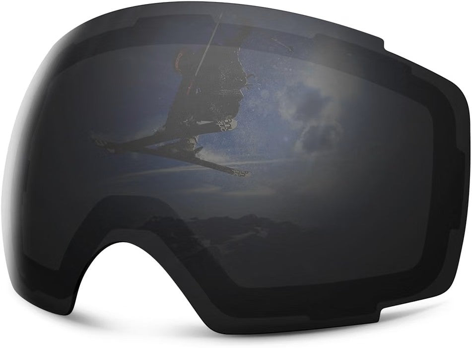 Ski Goggles
