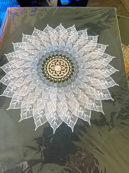 Mandala Canvas Art-New