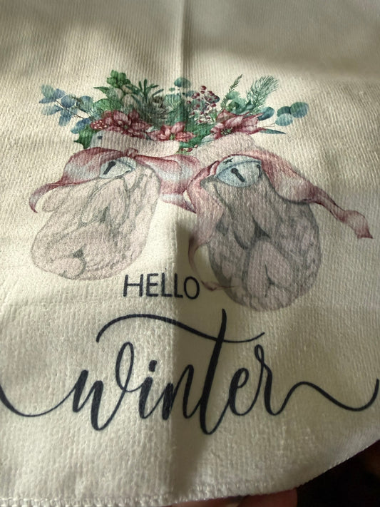 Hello Winter on white background