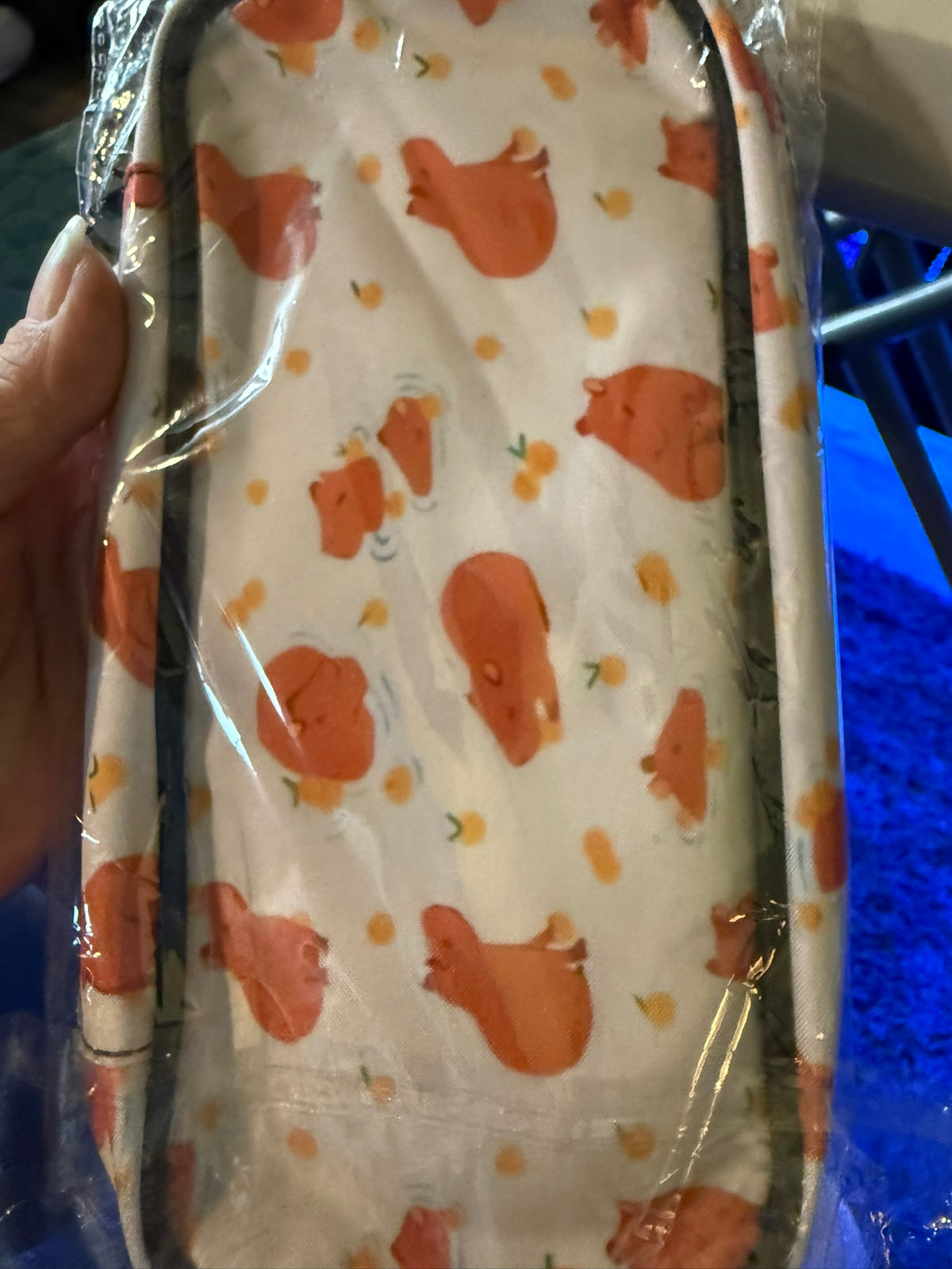 Capybara Pencil Case