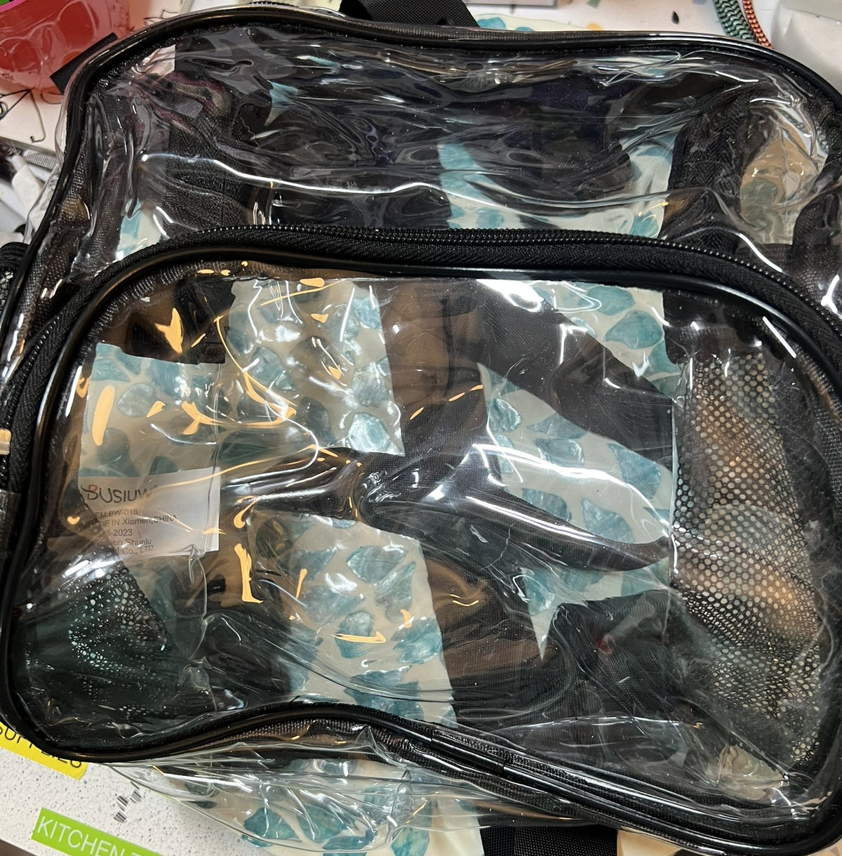Clear Back Pack