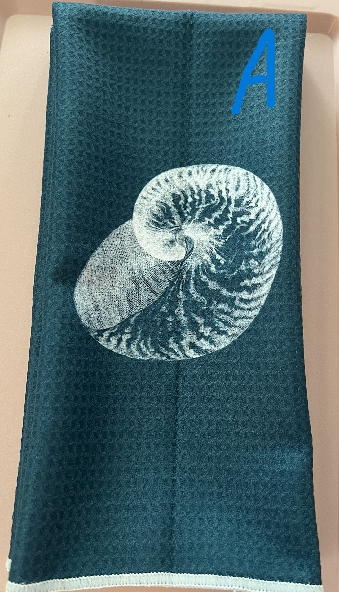 Teal Seashell A