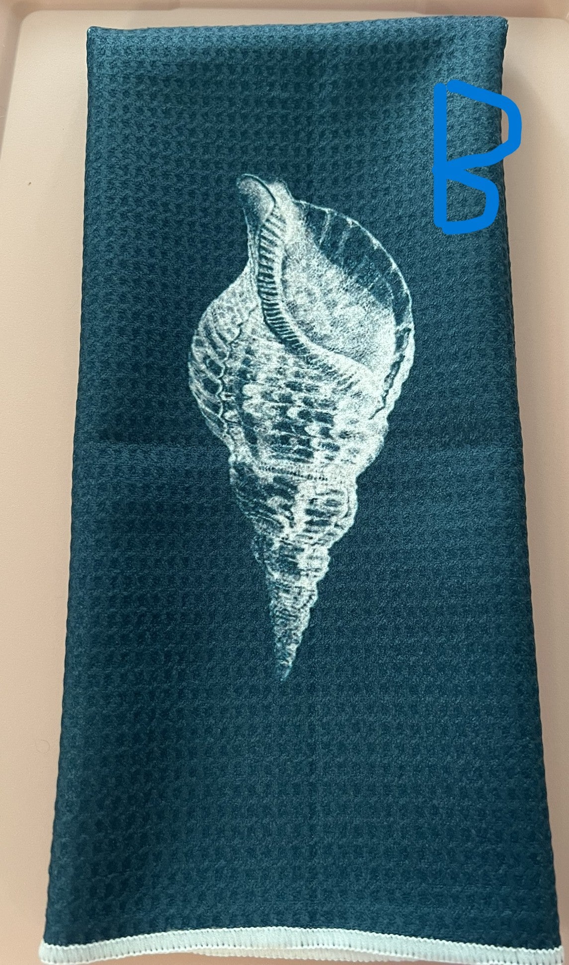 Teal Seashell B