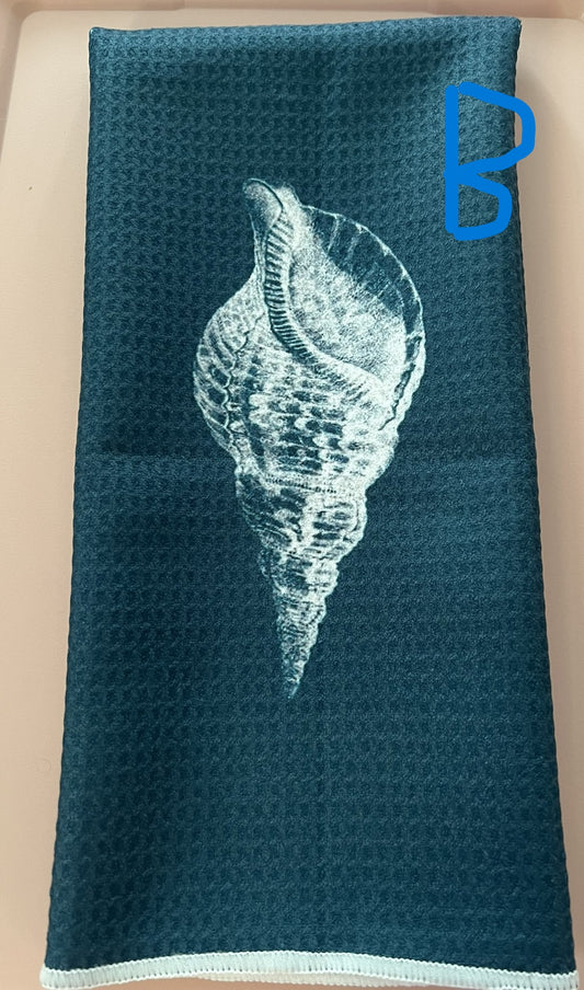 Teal Seashell B