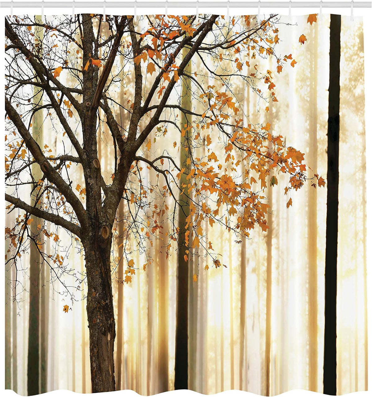 Golden Light through Tree