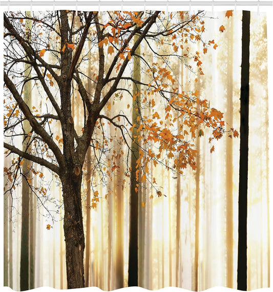Golden Light through Tree